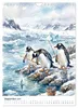 Coole Pinguine (Wandkalender 2027 DIN A4 hoch), CALVENDO Produktbild-Vorschau 4