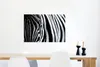 MuchoWow® Poster Nahaufnahme eines Zebras 60x40 cm - Produktbild-Vorschau 5
