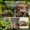 PawHut Terrarium für Reptilien Glasterrarium 48L mit Produktbild-Vorschau 4