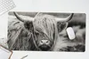 MuchoWow® Schreibtischunterlage Schottischer Highlander - Produktbild-Vorschau 5
