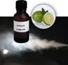 Duftstoff für Nebelfluid LIMETTE - 20ml Flasche Náhled obrázku produktu