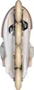 Powerslide Next Mery Munoz Pro 80 Inline-skates Beige,Weiß Produktbild-Vorschau 6