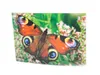 3 D Ansichtskarte Schmetterling, Tagpfauenauge, Postkarte Produktbild-Vorschau 2