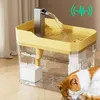 A cat is sleeping next to a pet water fountain. Produktbild-Vorschau