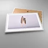 Gerahmtes Poster - Weißer Rahmen - Zwei Federn Flieder - Produktbild-Vorschau 3