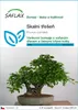 SAFLAX - skalní třešeň - Prunus mahaleb - 30 Semena Náhled obrázku produktu 1