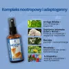 Pamięć i koncentrację | Soplówka jeżowata, Bacopa, Ginkgo, Podgląd zdjęcia produktu 4