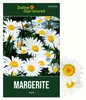 Margerite weiß Samen - Chrysanthemum maximum - Produktbild-Vorschau 1