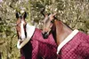 Kentucky Horsewear Show Rug 160g, Taille:145, Voir les images du produit 6