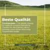 Majestic Sunny Green Trawa na suche stanowiska (4 kg) | Podgląd zdjęcia produktu 2