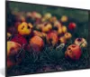 MuchoWow® Gerahmtes Poster Landdekoration - Herbst - Apfel Produktbild-Vorschau 1