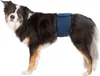 Trixie Windeln für Rüden, waschbar - L / 55-65 cm Produktbild-Vorschau 3