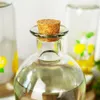 Vilde Glasflasche Trinkflasche Flasche für Limonade mit Produktbild-Vorschau 4