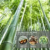 A forest of tall bamboo trees with an overlay of text and circular graphics highlighting product features. Anteprima dell’immagine prodotto