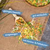 2 x 10 Liter (2,48 kg) Lyra Pond® Pond Multi Flakes Produktbild-Vorschau 2