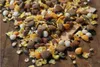 Bewi Dog Basic Menu 2 x 25 kg Produktbild-Vorschau 3