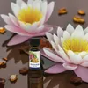 Lotus Amber Parfum Öl – 100 % reines Duftöl für Produktbild-Vorschau 4