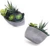 T4U pianta artificiale succulenta verde set di 2 con vaso Anteprima dell’immagine prodotto 7