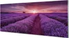 Glasbilder 125x50 Wandkunst Feld heathers Produktbild-Vorschau 1