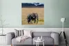 MuchoWow® Poster Schlammiges Elefantenbaby in der Serengeti Produktbild-Vorschau 5