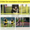 XINZI Set de barres de saut Barres d'entraînement Agility Voir les images du produit 5
