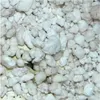 Lucky Reptile HatchRite Produktbild-Vorschau 2