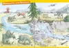 Wieso? Weshalb? Warum? Erstleser: Dinosaurier (Band 1) Anteprima dell’immagine prodotto 10
