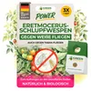Eretmocerus Schlupfwespen gegen weiße Fliegen & Produktbild-Vorschau 1