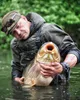 Tandem Baits 3er-Pack SuperFeed Pure Wafters ASH Flavour Produktbild-Vorschau 4
