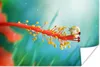 MuchoWow® Poster Schnecke auf Pflanze 30x20 cm - Plakate - Produktbild-Vorschau 1