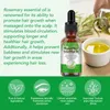 Rosmarinöl Ätherisches Öl 30ml Haarwachstum Kopfhaut Produktbild-Vorschau 10