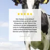 MuchoWow® - Leinwandbilder - Kühe - Gras - Tiere - Sonne - Produktbild-Vorschau 8