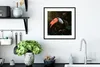 MuchoWow® MuchoWow® Gerahmtes Poster Tukan - Schmetterling Produktbild-Vorschau 4