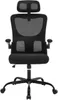 A black ergonomic office chair with a mesh back and lumbar support is shown against a white background. Produktbild-Vorschau