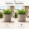 Pflanztopfuntersetzer Mira Taupe Ø 29cm - Frostsicher & Produktbild-Vorschau 6