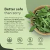 Salbei Kapseln Vegan - 180 Stück (6 Monate) - 12mg Produktbild-Vorschau 4