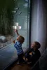 Two young children looking at decorative lights on a window. Produktbild-Vorschau