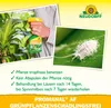 Neudorff Promanal AF GrünpflanzenSchädlingsFrei 250 ml Produktbild-Vorschau 4