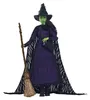 Wicked Elphaba Deluxe-Modepuppe (mit geflochtenen Haaren) Produktbild-Vorschau 1