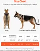 A size chart for a dog wheelchair, showing diagrams of a German Shepherd and a table with measurements. Produktbild-Vorschau