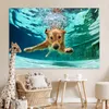 MuchoWow® Poster Pool - Hund - Wasser 180x120 cm - Produktbild-Vorschau 7