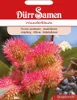Wunderbaum rosa | Wunderbaumsamen von Dürr Samen Produktbild-Vorschau 4