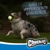 Chuckit! 32313, Hondenspeelgoed, Bal, Wit, Rubber, Ophalen, Productafbeelding-voorbeeld 5
