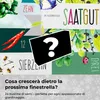 BOXILAND® calendario avvento semi 2026, 24 tipi, verdure Anteprima dell’immagine prodotto 3