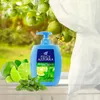 Doccia Menta/Lime Duschgel 250ml - Felce Azzurra Produktbild-Vorschau 5