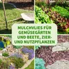 TTL Garden Unkrautvlies 50g/m² 2x5m inkl. 20 Erdanker – Produktbild-Vorschau 6