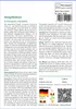SAFLAX - Seeigelkaktus - Echinopsis mirabilis - 40 Samen Produktbild-Vorschau 3