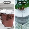 A split image showing a plant pot before and after winter protection. Produktbild-Vorschau