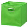 Zeller Aufbewahrungsbox 30.0 l grün 32.0 x 32.0 32.0 cm Náhľad obrázku produktu 9