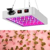 A grow light is shown above a tray of seedlings. Podgląd zdjęcia produktu